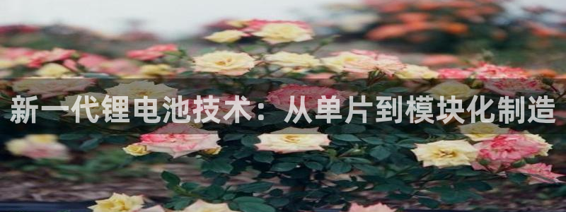k豆钱包的豆可以互转吗