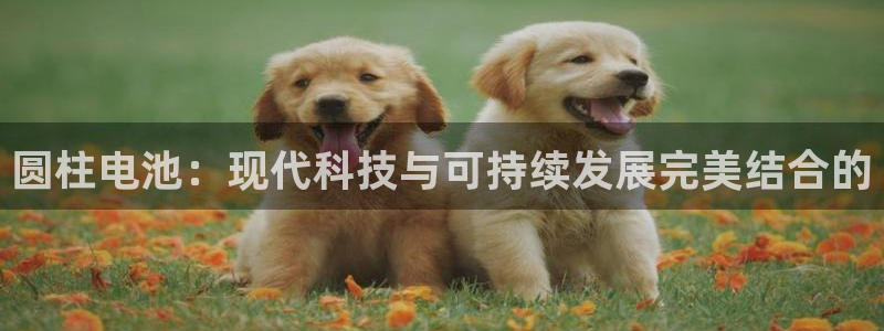 k豆钱包合法吗