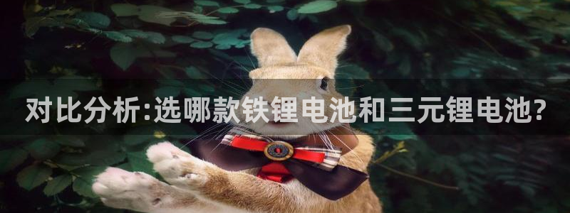 k豆钱包在中国合法吗