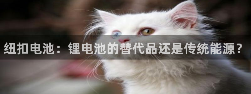 k豆钱包的用途