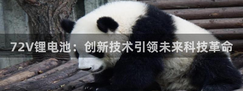 k 豆钱包下载