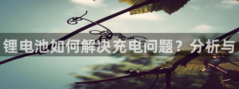 k豆钱包怎么提现