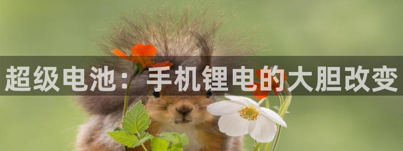 k豆钱包快捷卖豆