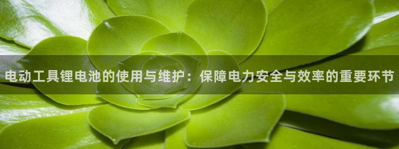k豆钱包为什么下载不得呢