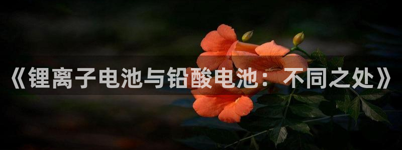 k豆钱包网址