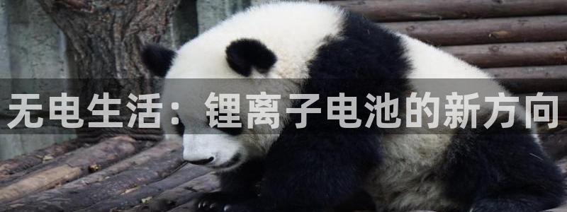k豆钱包下载链接