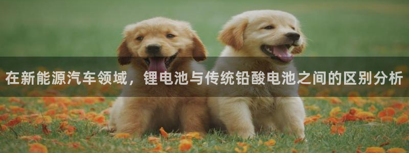 k豆钱包最新版