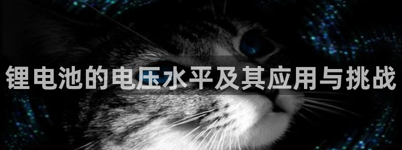 k豆钱包下载