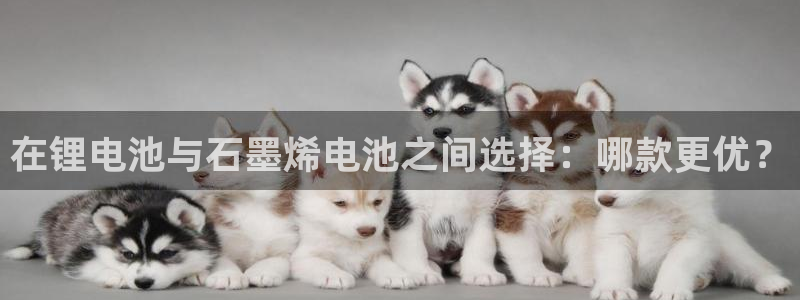 k豆钱包下载官网