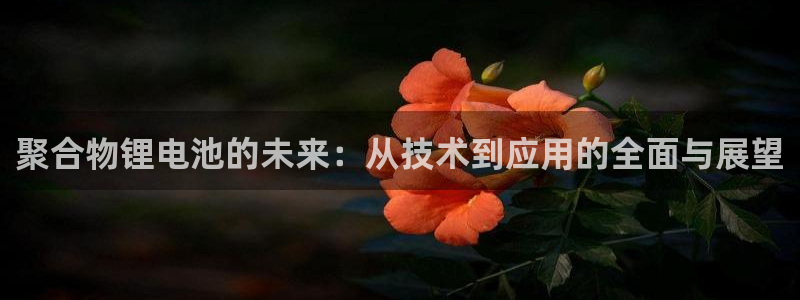 k豆钱包1.0.92