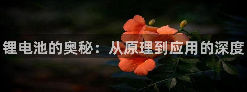 k豆钱包下载入口