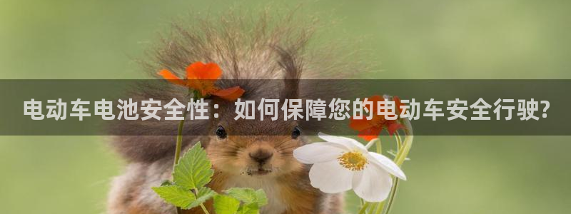 k豆钱包卖豆