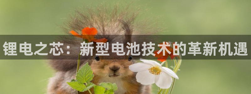 下载一个k豆钱包