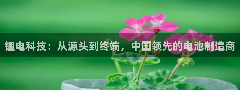 k豆钱包直接下载