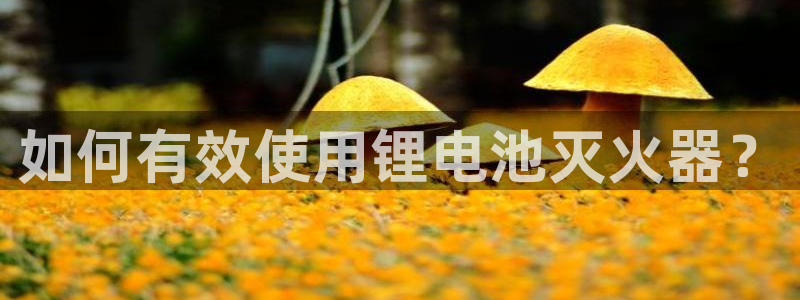 k豆钱包怎么买朋友的豆