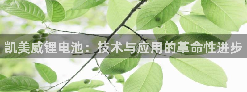 k豆钱包教程