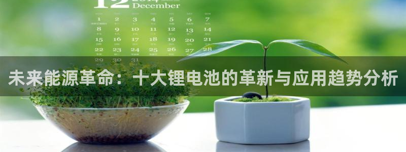k豆钱包是干嘛的：未来能源革命：十大锂电池的革新与应用趋势分析