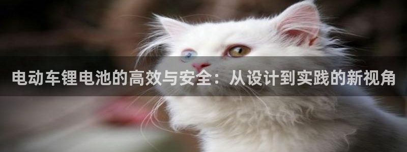 k豆钱包是正规平台吗