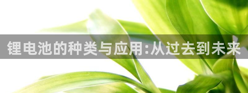 网赌的钱进k豆钱包会封号吗：锂电池的种类与应用:从过去到未来