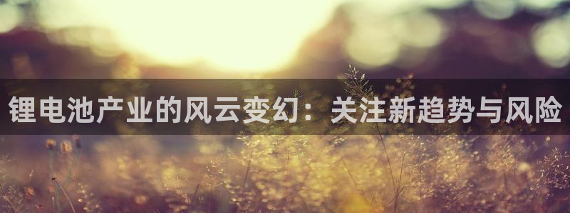 哪里可以下载k豆钱包：锂电池产业的风云变幻：关注新趋势与风险