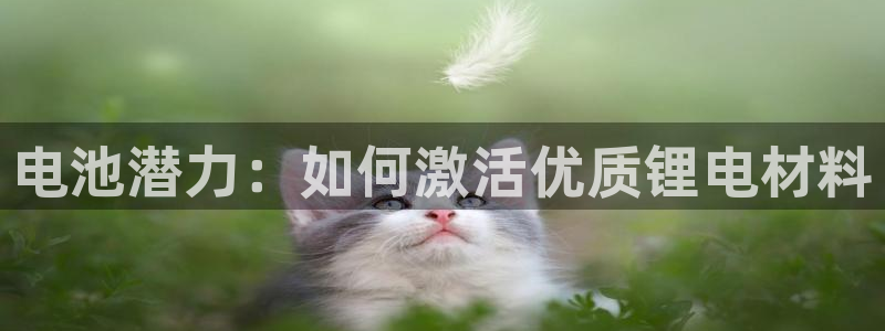 k豆钱包可靠吗