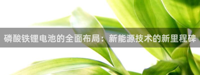 k豆钱包支付：磷酸铁锂电池的全面布局：新能源技术的新里程碑