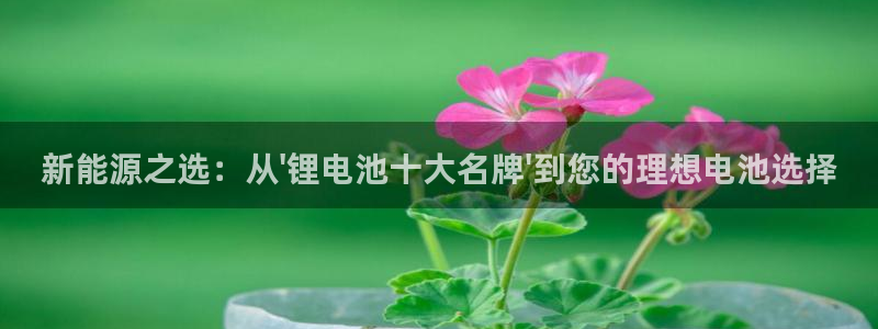 k豆钱包卖豆：新能源之选：从\'锂电池十大名牌\'到您的理想电池选择