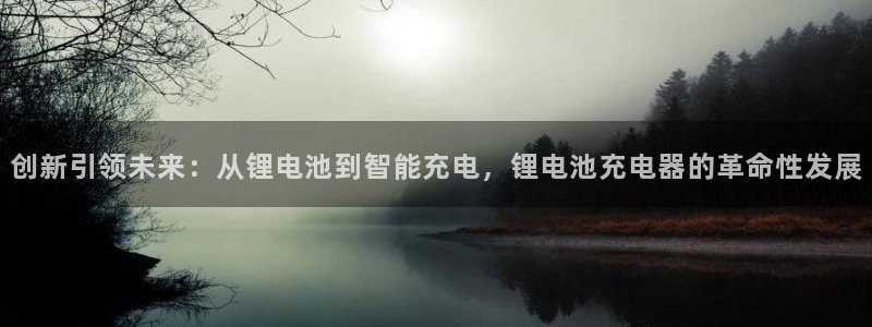 k豆钱包会风控吗：创新引领未来：从锂电池到智能充电，锂电池充电器的革命性发展