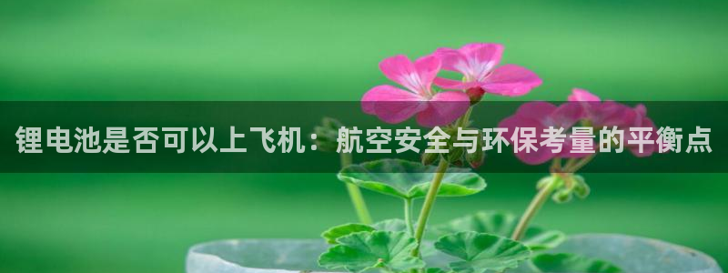 k豆钱包正式版：锂电池是否可以上飞机：航空安全与环保考量的平衡点