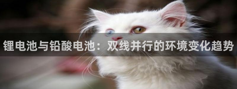 k豆钱包的用途：锂电池与铅酸电池：双线并行的环境变化趋势