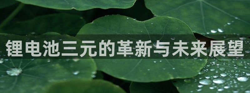 k豆钱包安卓版：锂电池三元的革新与未来展望