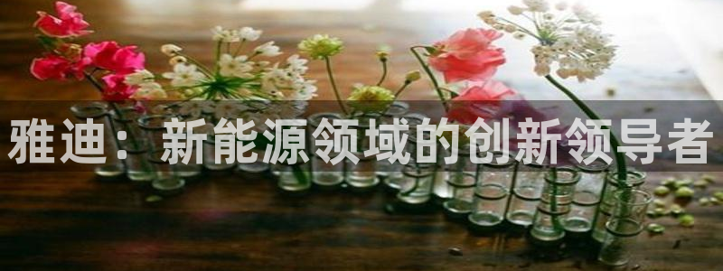 k豆钱包地址在哪看：雅迪：新能源领域的创新领导者