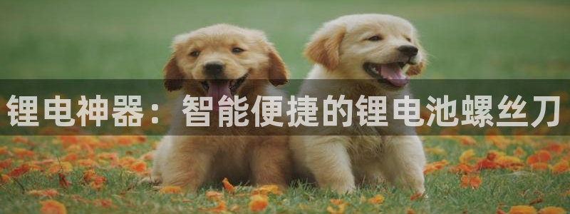 k豆钱包官网下载：锂电神器：智能便捷的锂电池螺丝刀