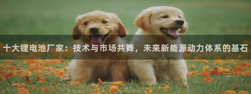 怎么下载k豆钱包app：十大锂电池厂家：技术与市场共舞，未来新能源动力体系的基石
