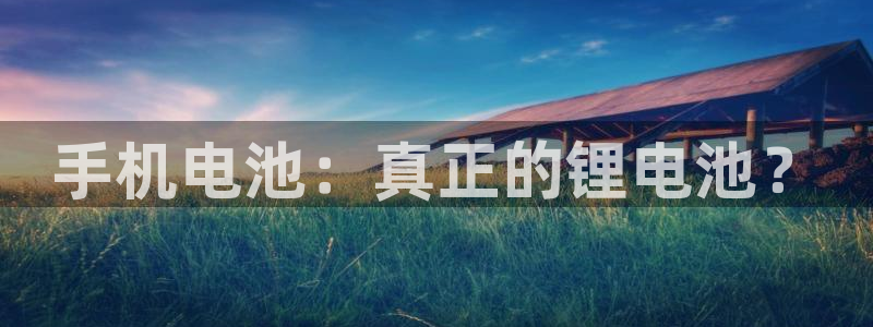 k 豆钱包下载：手机电池：真正的锂电池？