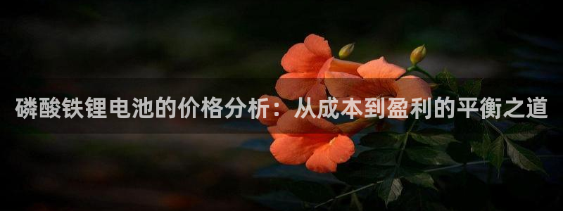 k豆钱包在中国合法吗：磷酸铁锂电池的价格分析：从成本到盈利的平衡之道