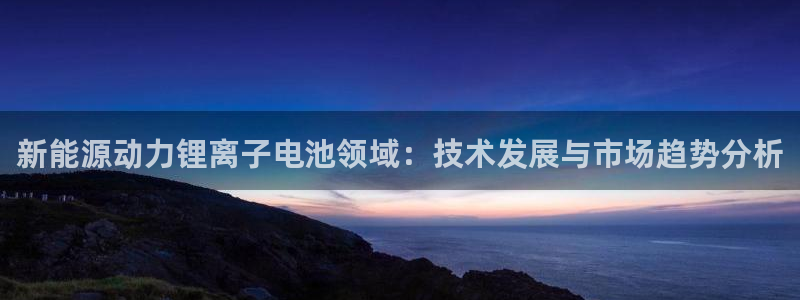k豆钱包最新版下载：新能源动力锂离子电池领域：技术发展与市场趋势分析