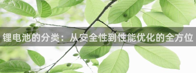 k 豆钱包已经：锂电池的分类：从安全性到性能优化的全方位