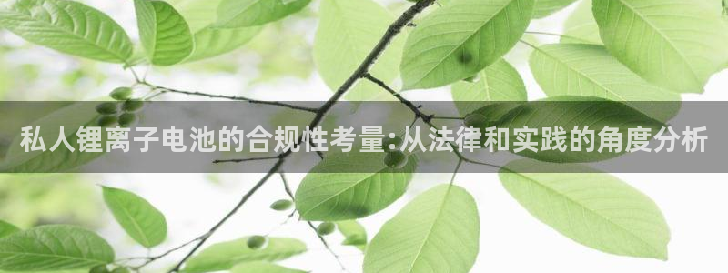k豆钱包手机版下载：私人锂离子电池的合规性考量:从法律和实践的角度分析
