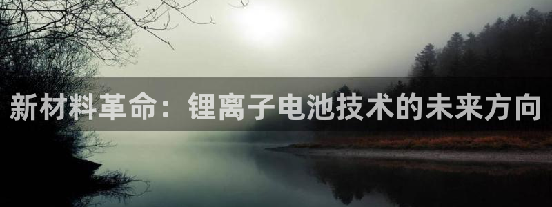 k豆钱包怎么样?：新材料革命：锂离子电池技术的未来方向