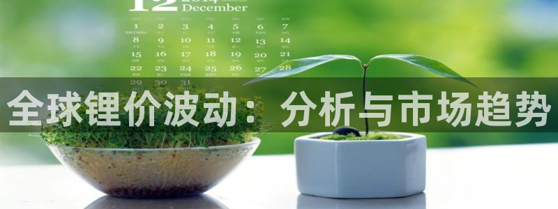 k豆钱包最新版本：全球锂价波动：分析与市场趋势