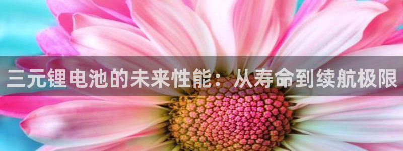 k 豆钱包4：三元锂电池的未来性能：从寿命到续航极限