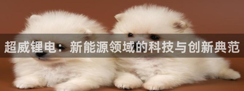 k豆钱包苹果版下载：超威锂电：新能源领域的科技与创新典范