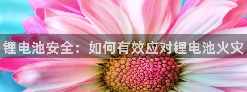 k豆钱包实名认证安不安全：锂电池安全：如