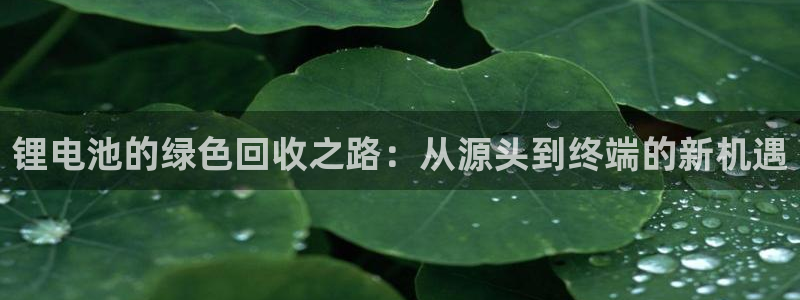 k豆钱包登录：锂电池的绿色回收之路：从源头到终端的新机遇