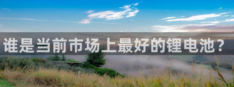 k豆钱包平台：谁是当前市场上最好的锂电池