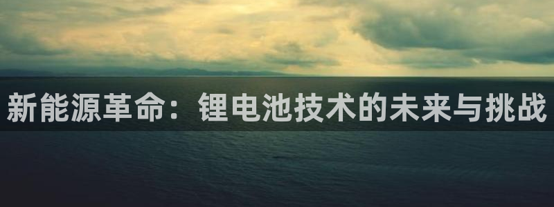 k豆钱包正式版：新能源革命：锂电池技术的