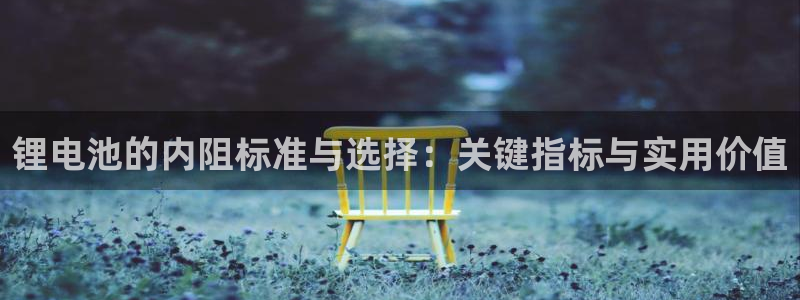 k豆钱包入口：锂电池的内阻标准与选择：关