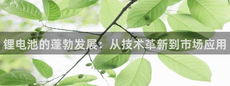 k豆钱包最新版本下载：锂电池的蓬勃发展：