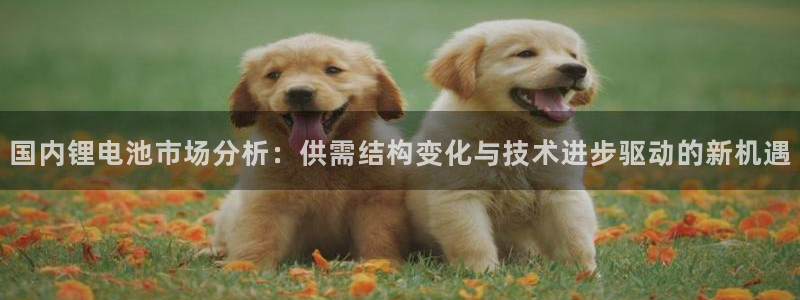 k豆钱包官网入口